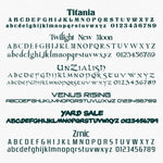 Transport Company Name, US DOT (USDOT), MC, KYU & GVW Number Decal Sticker Lettering Metallic (2 Pack)